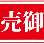 宮殿の日！！！！！