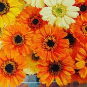 続々新人マダムが入店しております!!