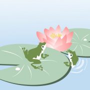 最近のマダム宮殿は…！！